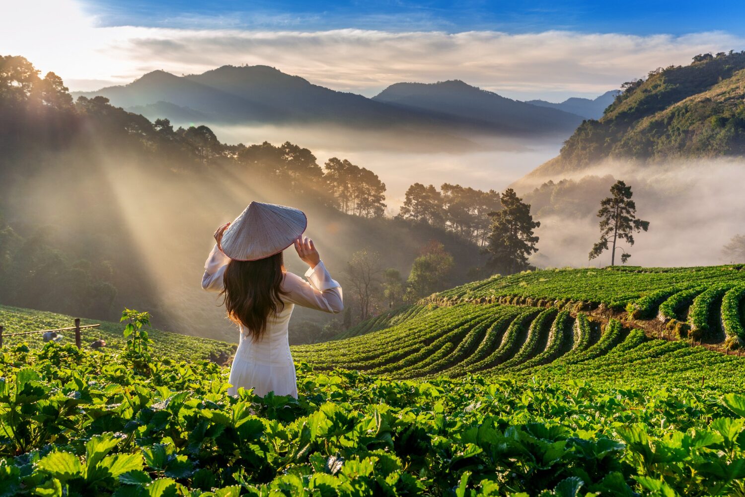 Da Lat